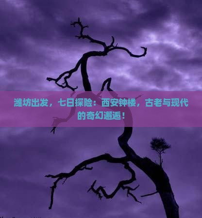 潍坊到西安钟楼七日游