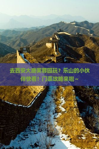 乐山去西安大唐芙蓉园门票