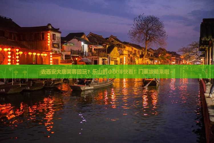 乐山去西安大唐芙蓉园门票