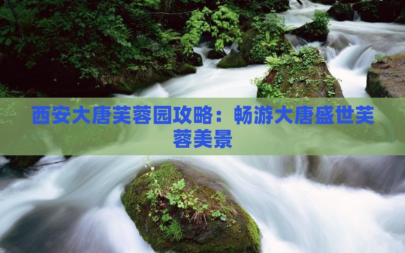 厦门到西安大唐芙蓉园攻略