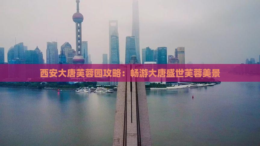 厦门到西安大唐芙蓉园攻略
