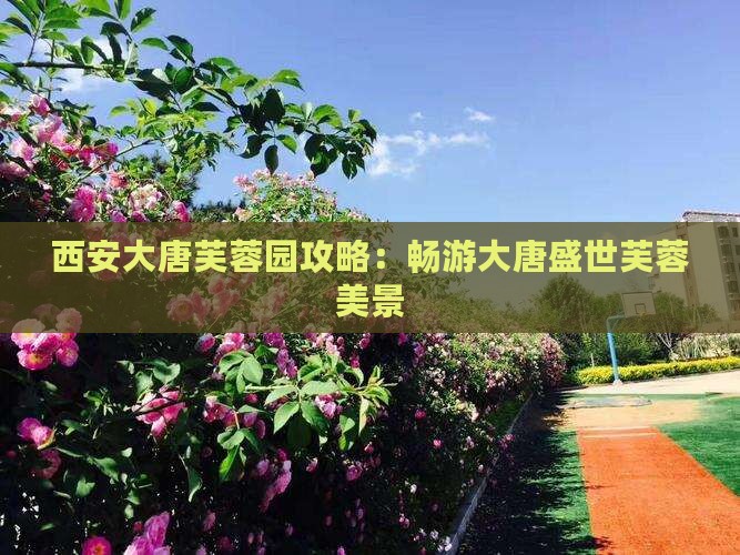 厦门到西安大唐芙蓉园攻略