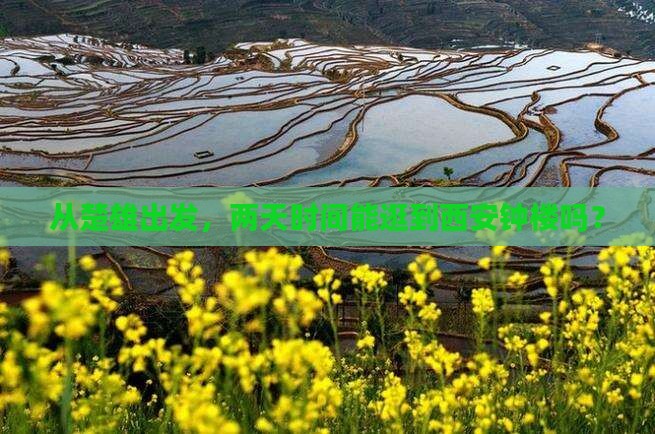 楚雄到西安钟楼二日游