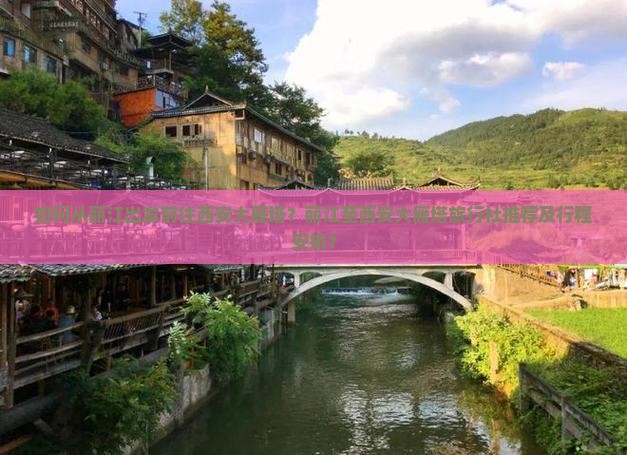 丽江去西安大雁塔旅行社