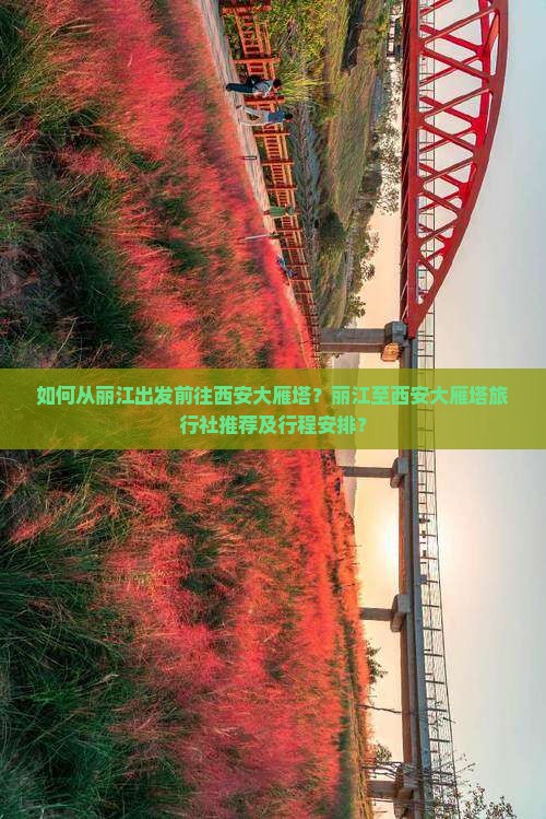 丽江去西安大雁塔旅行社