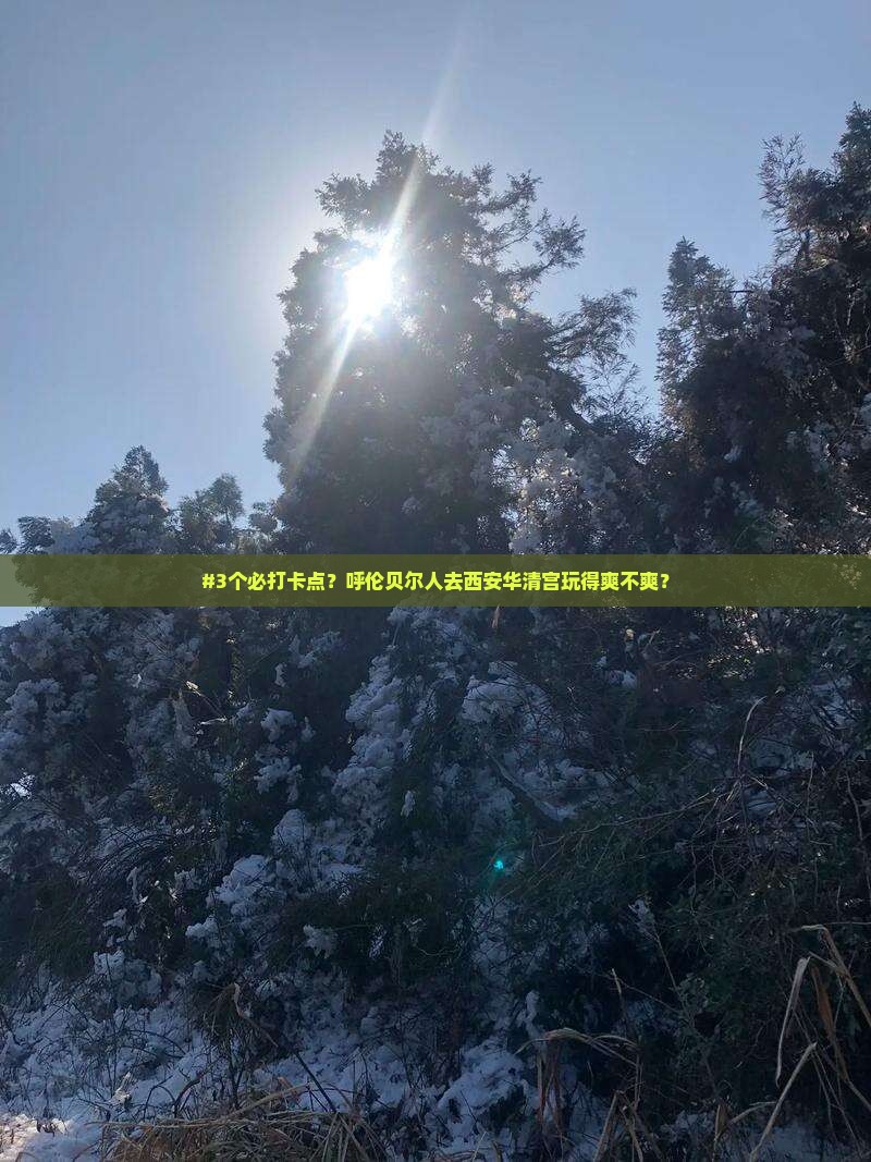 呼伦贝尔去西安华清宫攻略