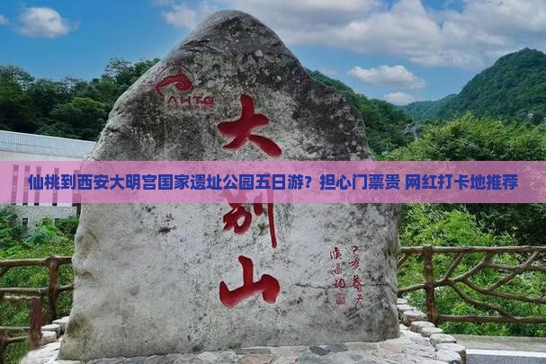 仙桃去西安大明宫国家遗址公园五日游