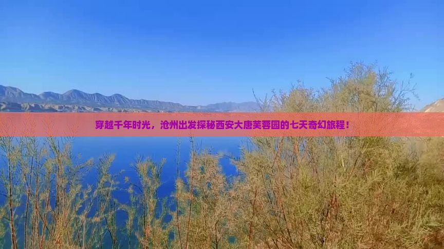沧州到西安大唐芙蓉园七日游