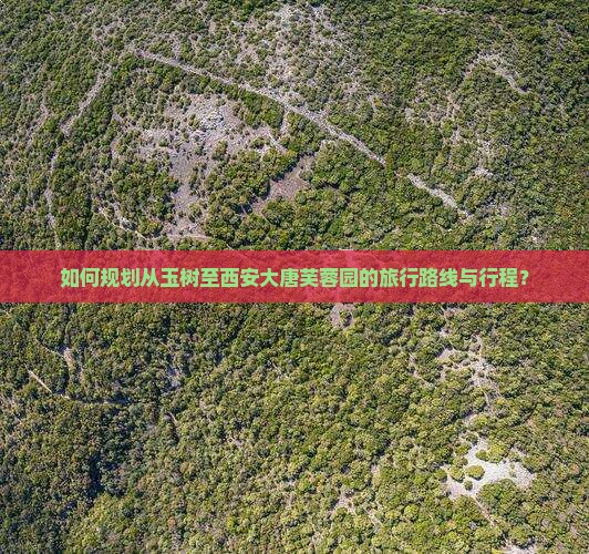 玉树到西安大唐芙蓉园攻略
