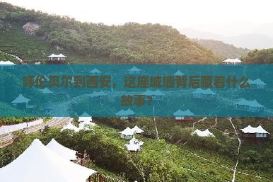 呼伦贝尔去西安城墙旅游