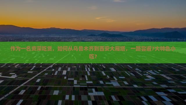 乌鲁木齐到西安大雁塔旅游小吃
