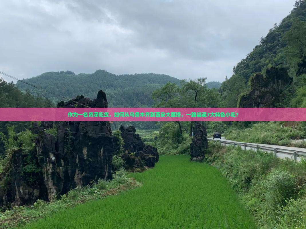乌鲁木齐到西安大雁塔旅游小吃