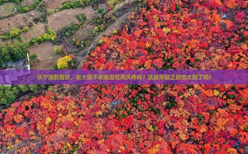 宁波到西安大唐不夜城二日游