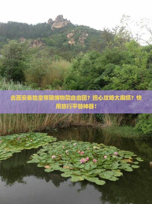 漳州去西安秦始皇帝陵博物院自由团