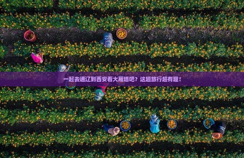 通辽去西安大雁塔团体旅游