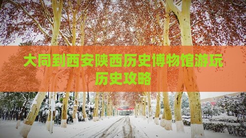 大同到西安陕西历史博物馆哪里玩