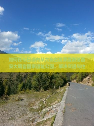 六安去西安大明宫国家遗址公园七日游