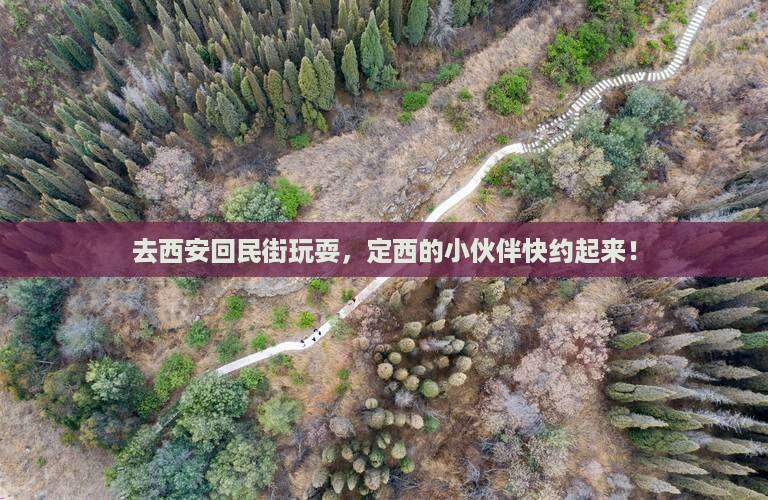 定西去西安回民街旅游