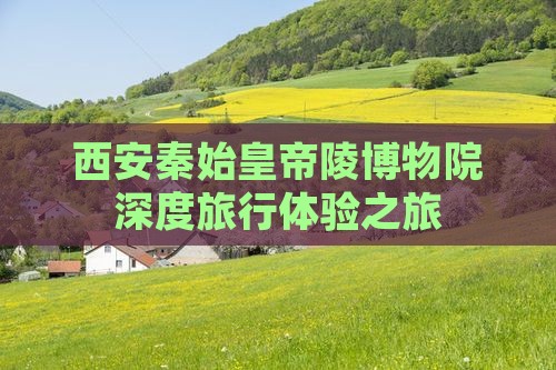 巢湖到西安秦始皇帝陵博物院旅行社