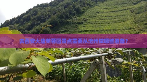 沧州去西安大唐芙蓉园景点