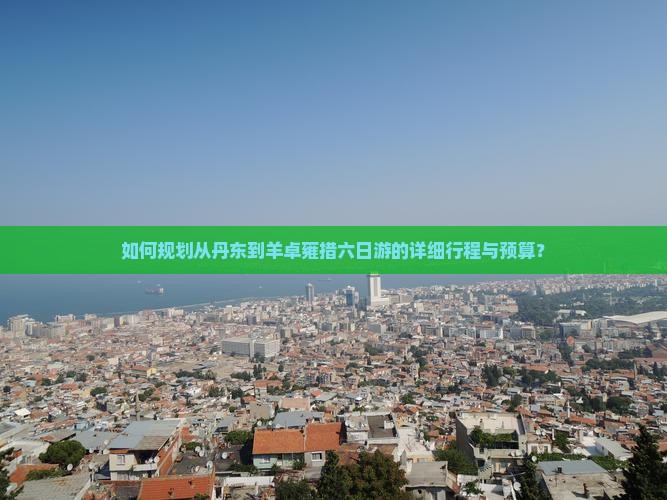 如何规划从丹东到羊卓雍措六日游的详细行程与预算？