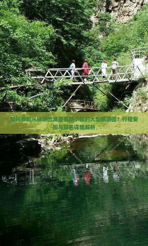 如何参加从株洲出发至鲁朗小镇的大型旅游团？行程安排与报名详情解析