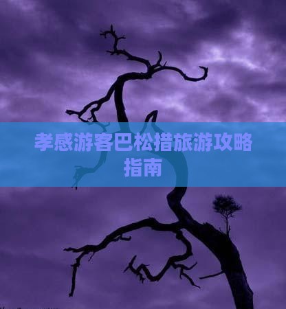 孝感游客巴松措旅游攻略指南
