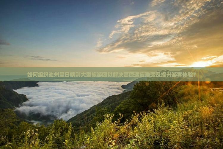 如何组织池州至日喀则大型旅游团以解决高原适应难题及提升游客体验？