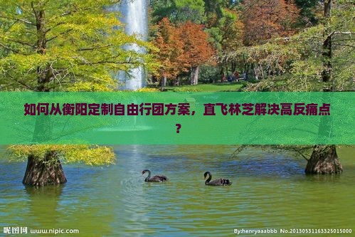如何从衡阳定制自由行团方案，直飞林芝解决高反痛点？