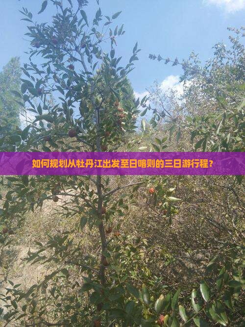 如何规划从牡丹江出发至日喀则的三日游行程？