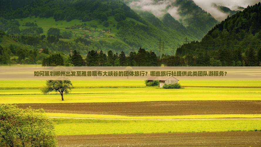 如何策划郴州出发至雅鲁藏布大峡谷的团体旅行？哪些旅行社提供此类团队游服务？