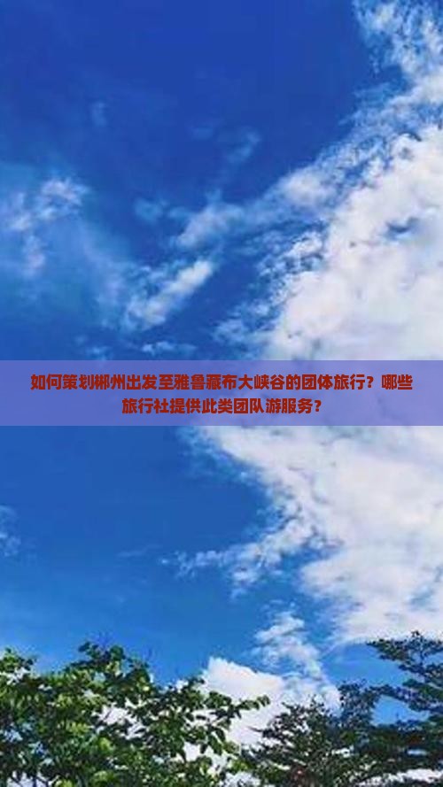 如何策划郴州出发至雅鲁藏布大峡谷的团体旅行？哪些旅行社提供此类团队游服务？