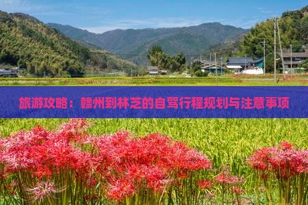 旅游攻略：赣州到林芝的自驾行程规划与注意事项
