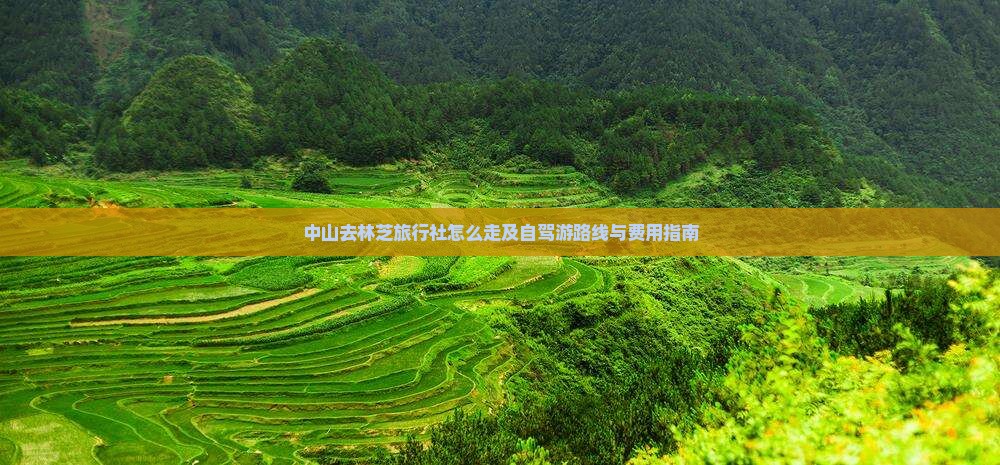 中山去林芝旅行社怎么走及自驾游路线与费用指南