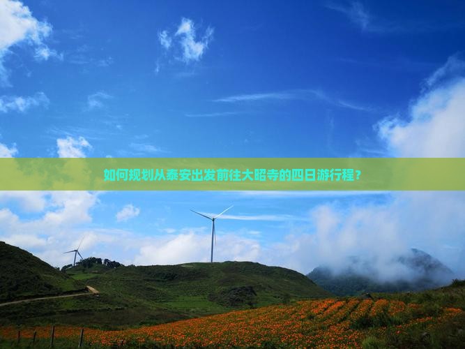 如何规划从泰安出发前往大昭寺的四日游行程？
