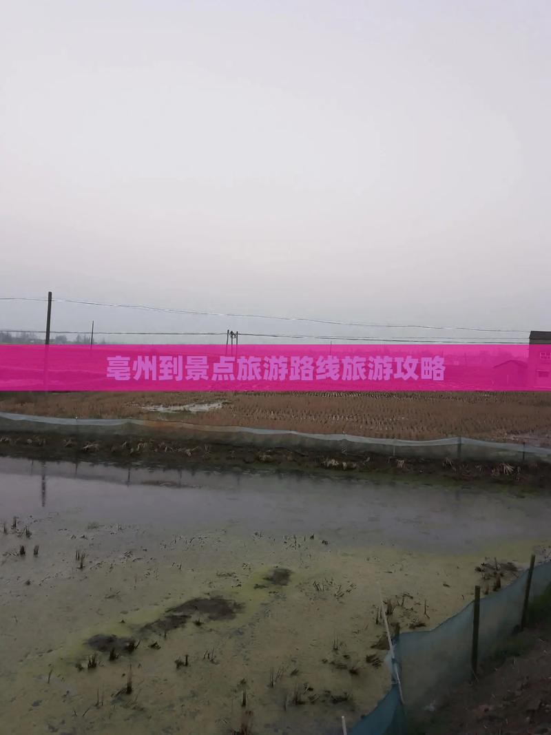 亳州到景点旅游路线旅游攻略