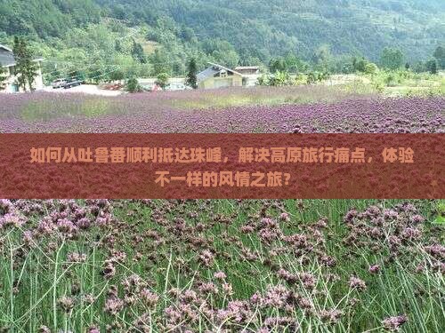 如何从吐鲁番顺利抵达珠峰，解决高原旅行痛点，体验不一样的风情之旅？