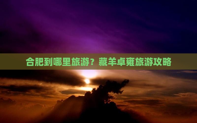 合肥到哪里旅游？藏羊卓雍旅游攻略
