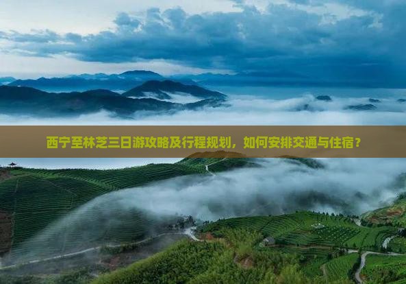 西宁至林芝三日游攻略及行程规划，如何安排交通与住宿？