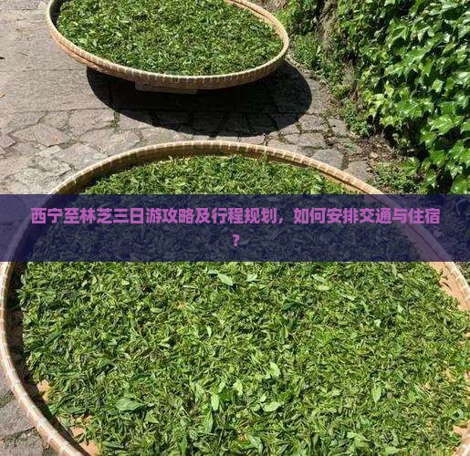 西宁至林芝三日游攻略及行程规划，如何安排交通与住宿？