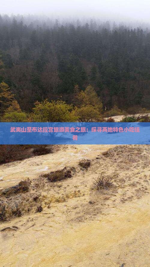 武夷山至布达拉宫旅游美食之旅：探寻两地特色小吃佳肴
