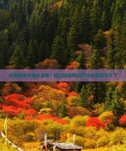 永新到纳木措必去地？错过这些网红打卡点真是亏大了