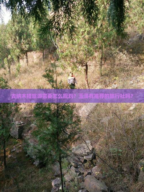 去纳木措旅游需要怎么规划？玉溪有推荐的旅行社吗？