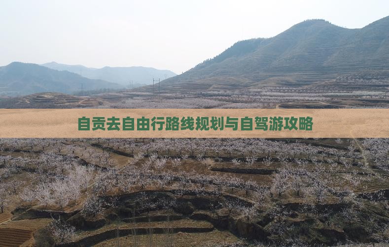 自贡去自由行路线规划与自驾游攻略