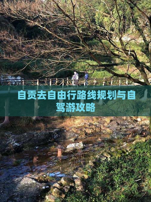自贡去自由行路线规划与自驾游攻略