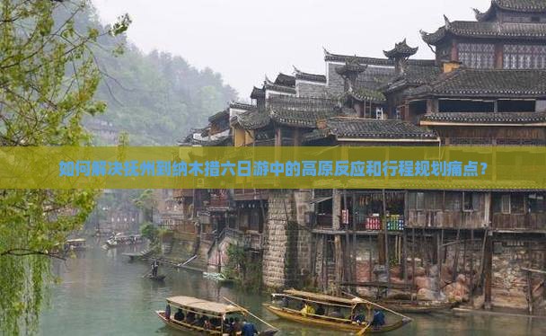 如何解决抚州到纳木措六日游中的高原反应和行程规划痛点？