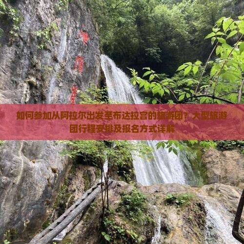 如何参加从阿拉尔出发至布达拉宫的旅游团？大型旅游团行程安排及报名方式详解