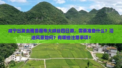咸宁出发去雅鲁藏布大峡谷四日游，需要准备什么？沿途风景如何？有哪些注意事项？