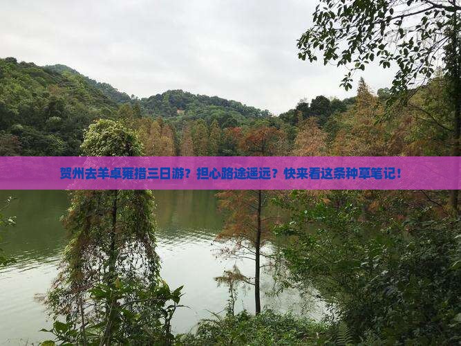 贺州去羊卓雍措三日游？担心路途遥远？快来看这条种草笔记！