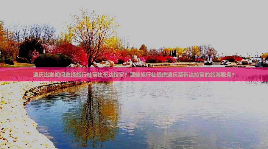迪庆出发如何选择旅行社前往布达拉宫？哪些旅行社提供迪庆至布达拉宫的旅游服务？